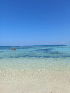 Île aux Nattes